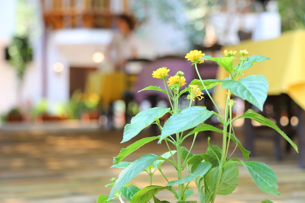 Akyaka Yali Capkini Hotel Exterior photo